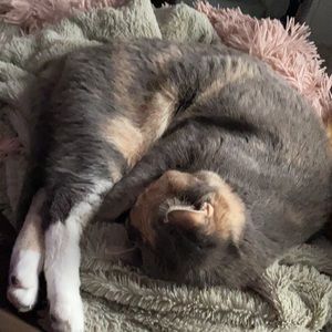 Meet your Posher, Sonia